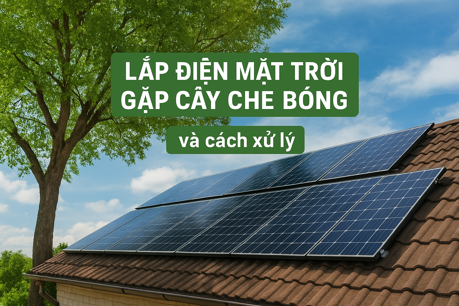 Lắp điện mặt trời gặp cây che bóng phải làm sao ?