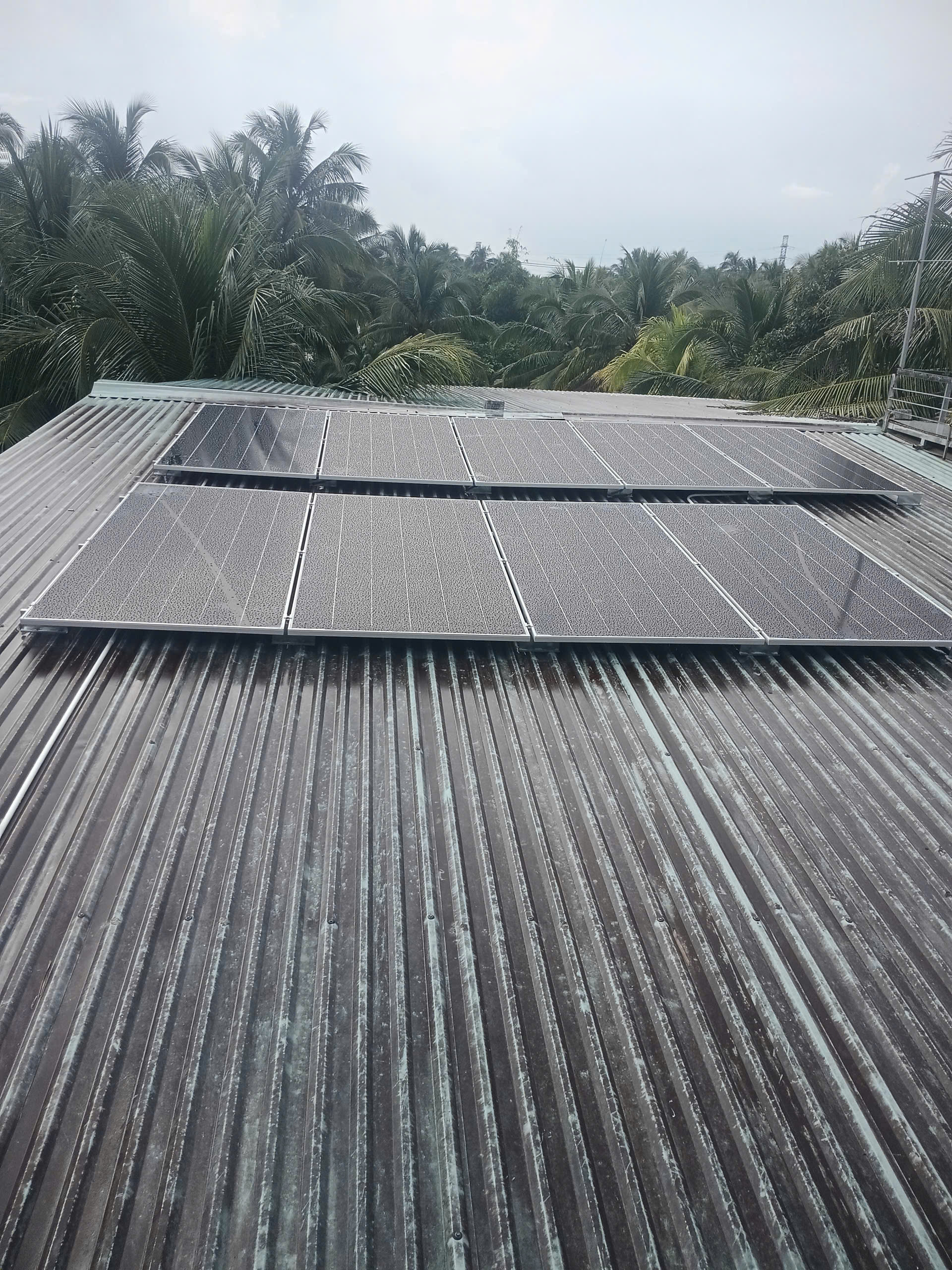 Hoàn Thành Dự Án Điện Mặt Trời Hybrid 5.5kWp + Lưu Trữ 5kWh Tại Xứ Dừa – Bến Tre